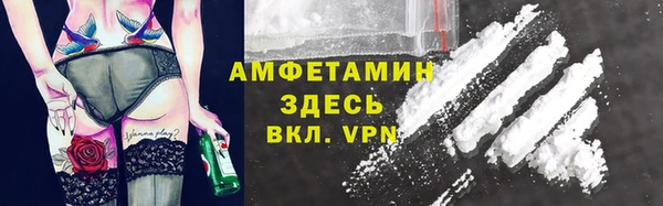 гидра Абаза