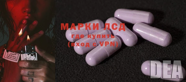 СК Алексин