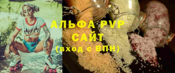 СК Алексин