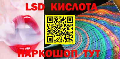 прущие грибы Краснодар