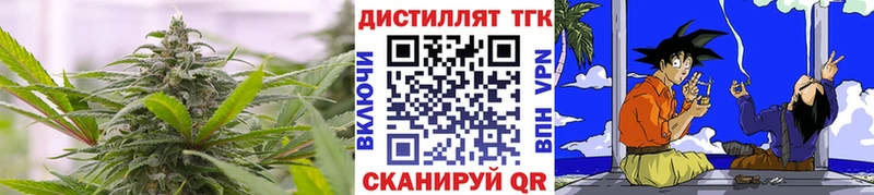 продажа наркотиков  гидра вход  Дистиллят ТГК THC oil  Полевской 