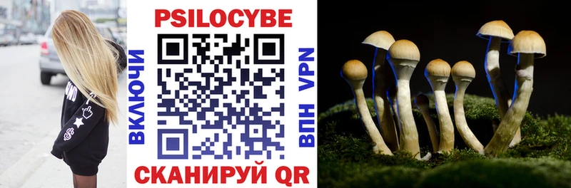 Галлюциногенные грибы Psilocybine cubensis Полевской