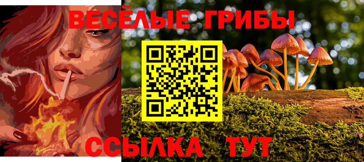 Галлюциногенные грибы прущие грибы Полевской