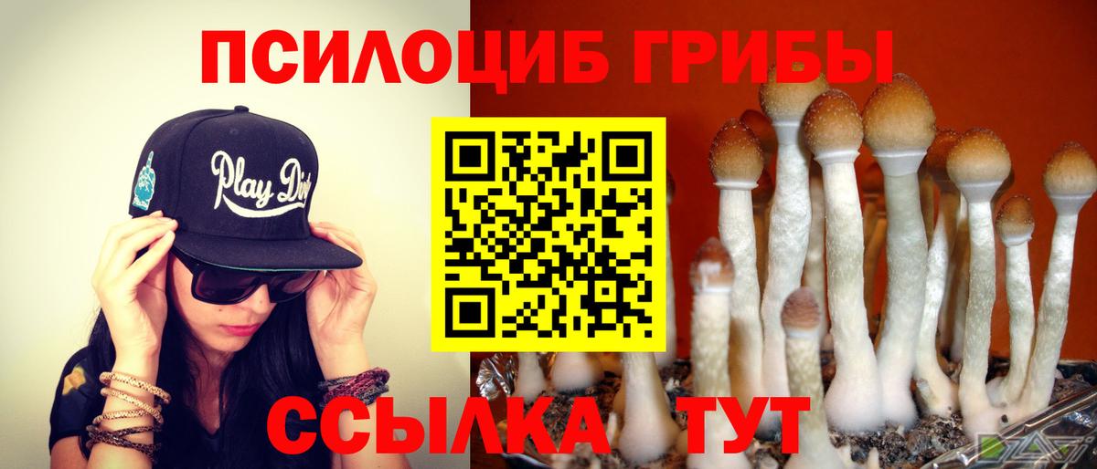 Галлюциногенные грибы прущие грибы  Псилоцибиновые грибы MAGIC MUSHROOMS  Полевской  Вход с VPN 